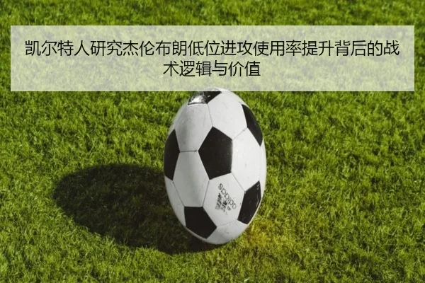 img_1782641231347_179_1_495.jpg